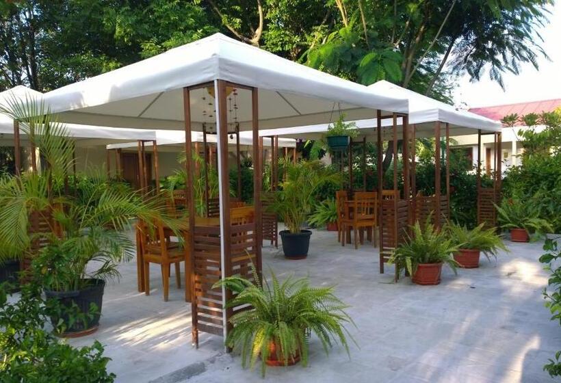 استراحتگاه Palm Malinamoc