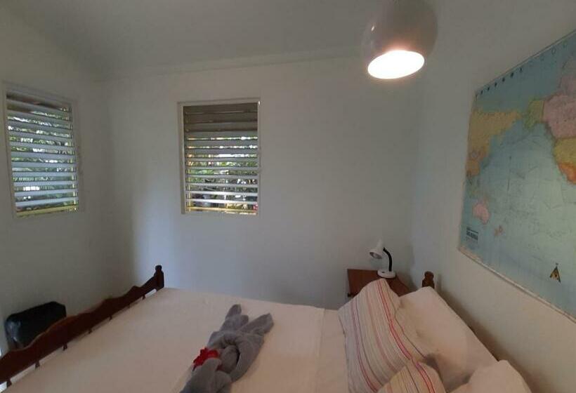 The Funky Dodo Backpackers Hostel