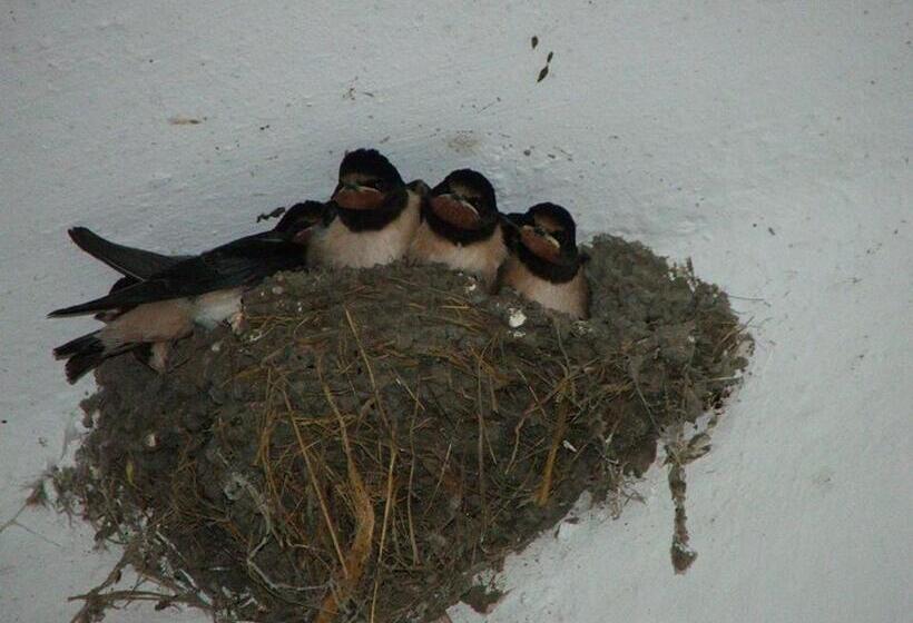 צימר Fónagy és Walter Vendég  és Borház