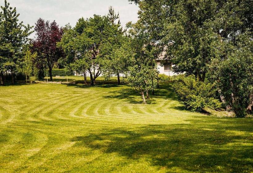 مبيت وإفطار Kakukk Vendéglő Panzió