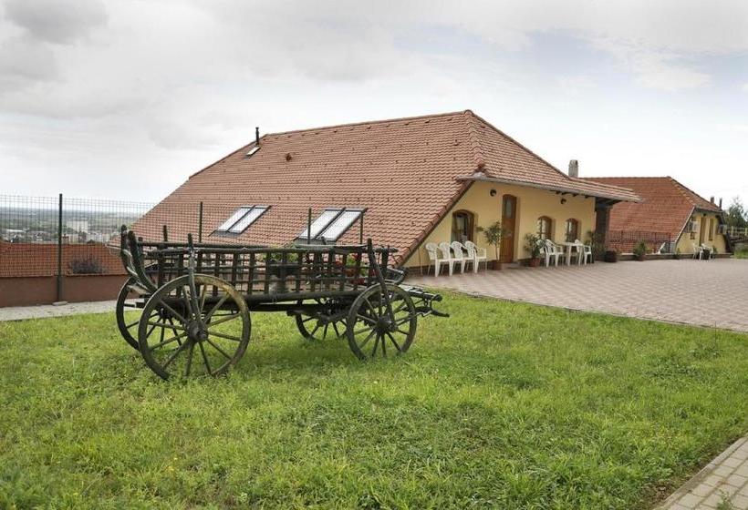 Bed and Breakfast Sárosdi Pince és Panzió