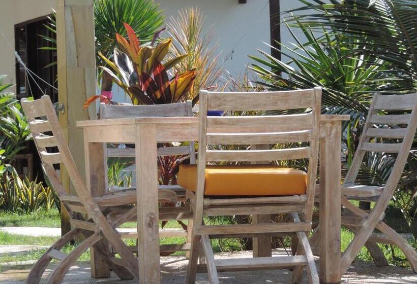 Fotos del hotel Casus Dream:  10