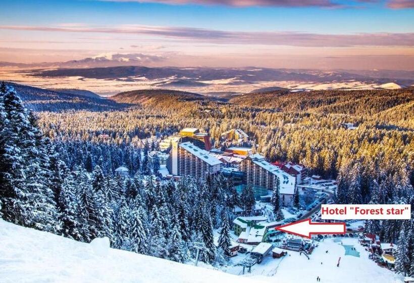 هتل Forest Star On The Ski Slope