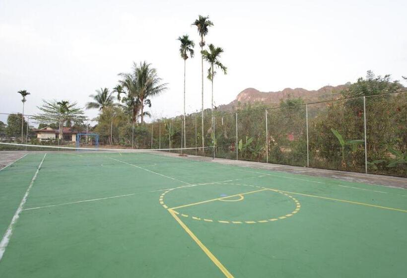 استراحتگاه Toraja Misiliana