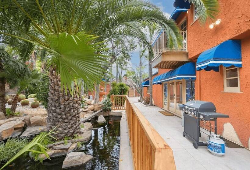 Cactus House By Avantstay Famous Cactus Compound