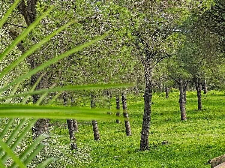 Sueña La Breña