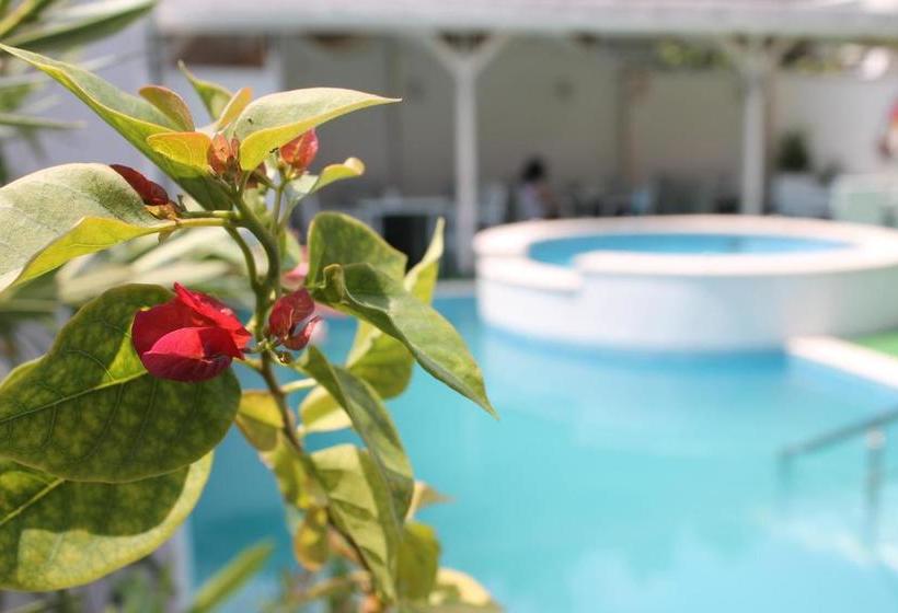 בית מלון כפרי Saint George Family