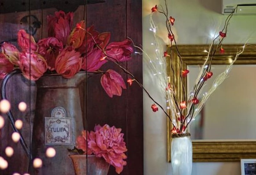 فندق على الطريق Bridgetown Valley Lodge