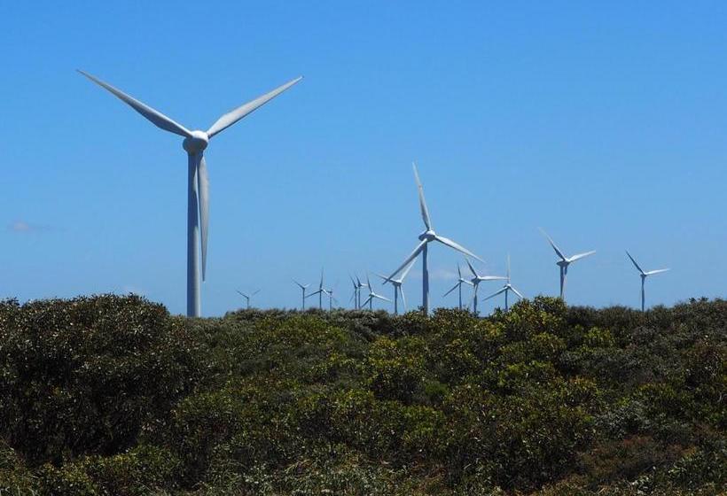 هاستل Albany Bayview Lodge Yha