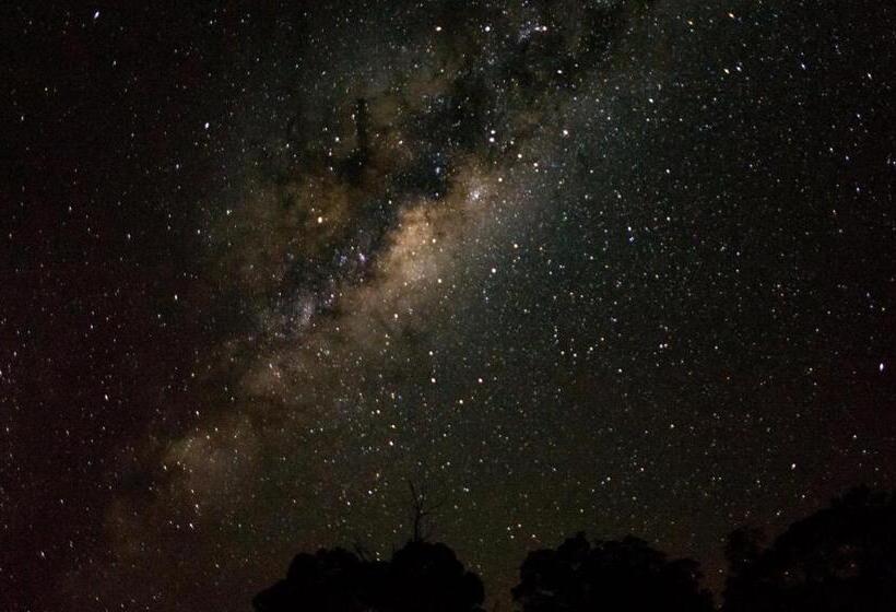 هاستل Lancelin Lodge