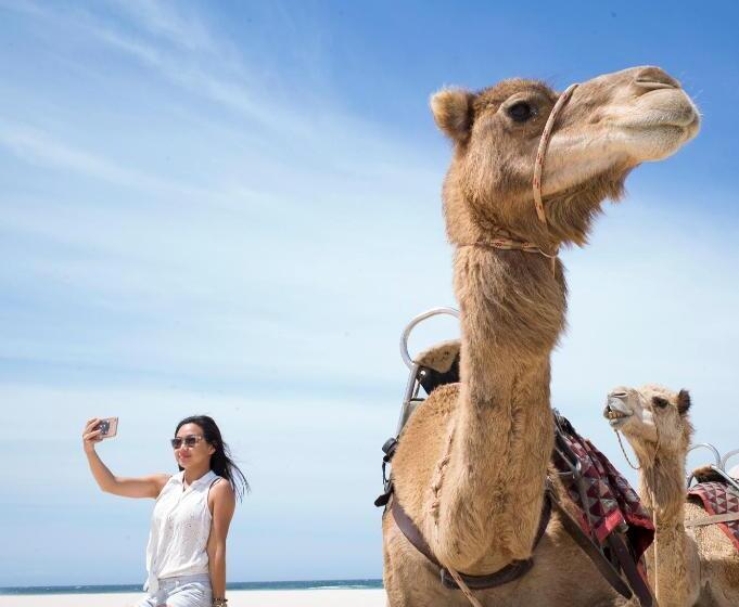 هاستل Ozzie Pozzie Backpackers   Port Macquarie Yha