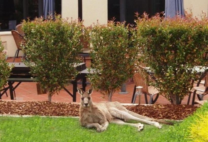 Alpha Hotel Canberra