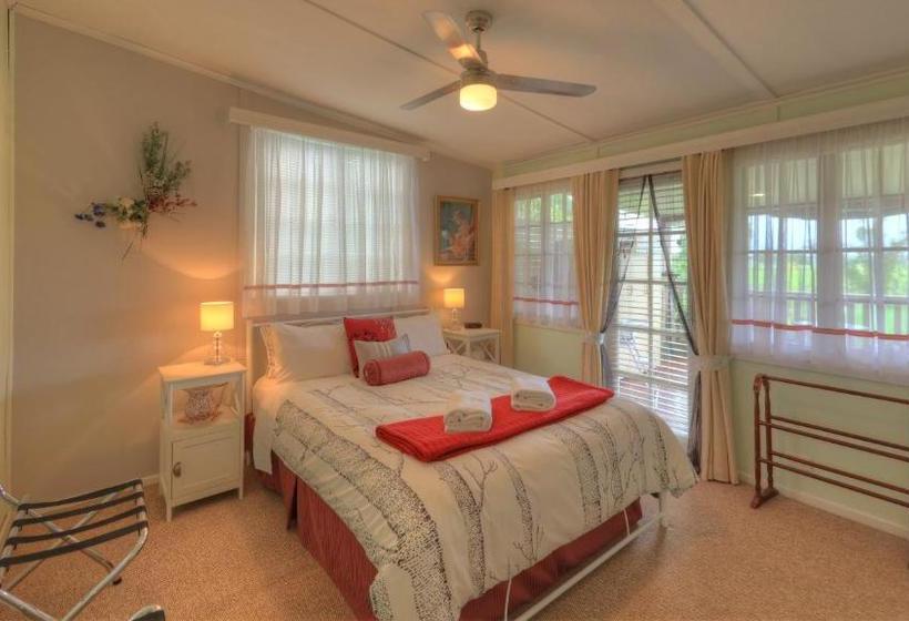 Andavine House   Bed & Breakfast