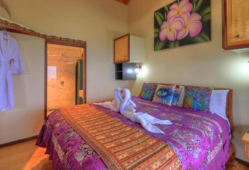 住宿加早餐  Maleny Tropical Retreat