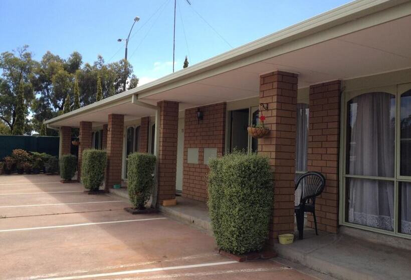 モーテル Rippleside Park Motor Inn