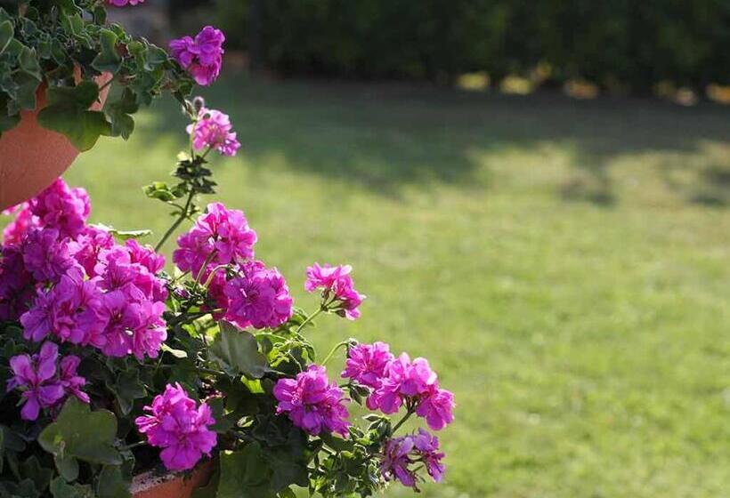 Da Rosa B&b