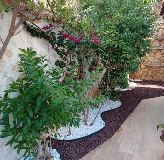تختخواب و صبحانه Villa Sandarra Kalkan