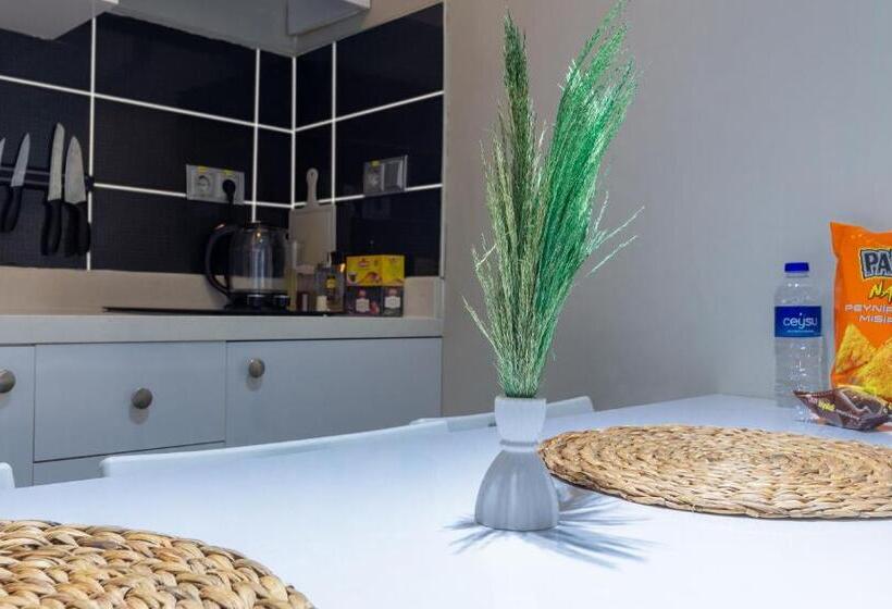 Alex Suites Lara