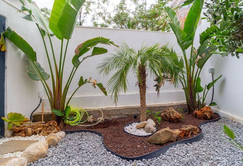 Alex Suites Lara