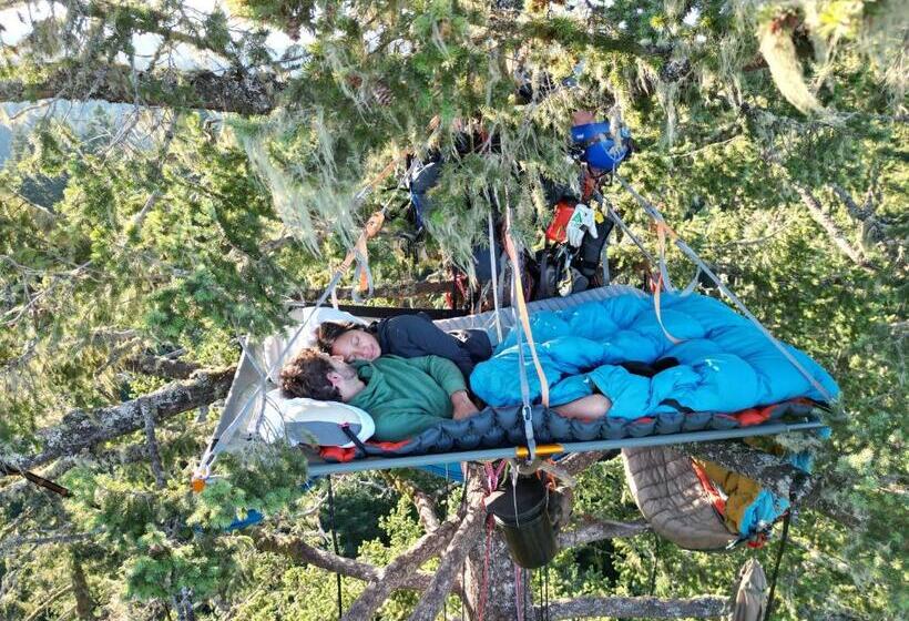 민박 Tree Climbing At Silver Falls