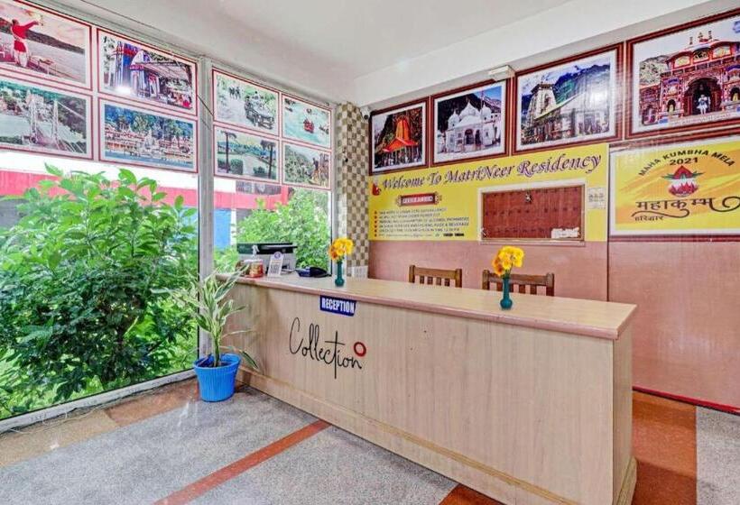 酒店 All Season Stayz