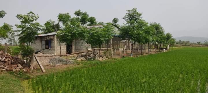 هتل Gadyauli Village