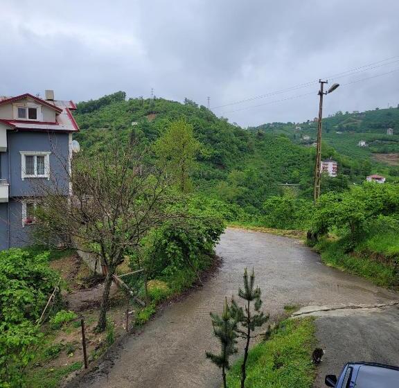 Meyra Apart