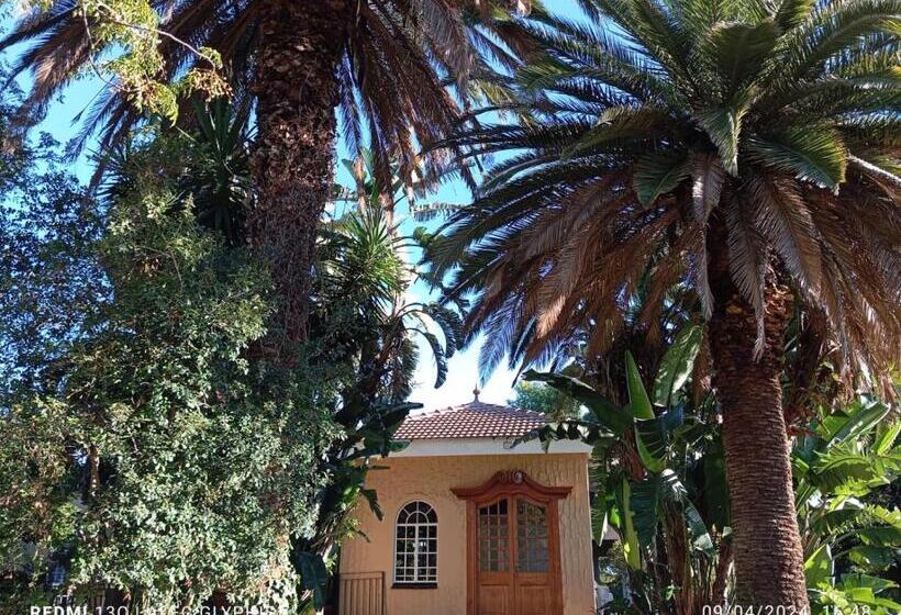 پانسیون 161 Blenheim Rd