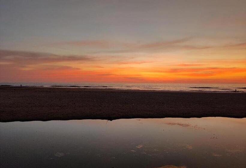 پانسیون Niyama Beach Stay