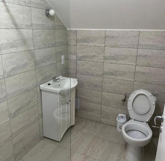 Pensiunea Mara Băile Botiza