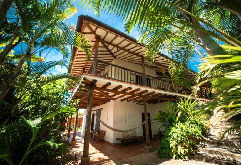 هتل Masaya Achiotte   Junior Suite   Colombia