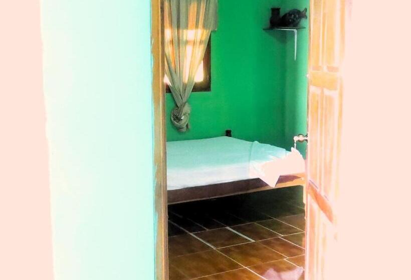 فندق Casa Reyna