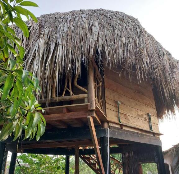هتل Hostel Nugeku