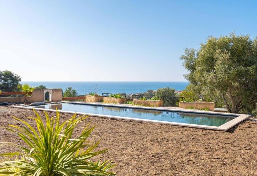 Bed and Breakfast Les Cactus Bleus