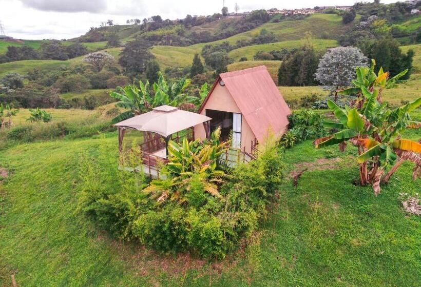 هتل Nalu Hammam Thalassoterapia