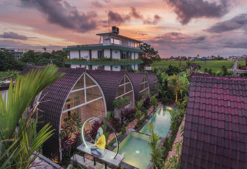 ペンション Ila Gaia Bali