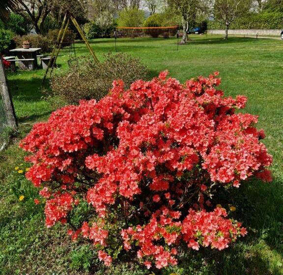 بنسيون L Oasi Amena   Camera Salvia