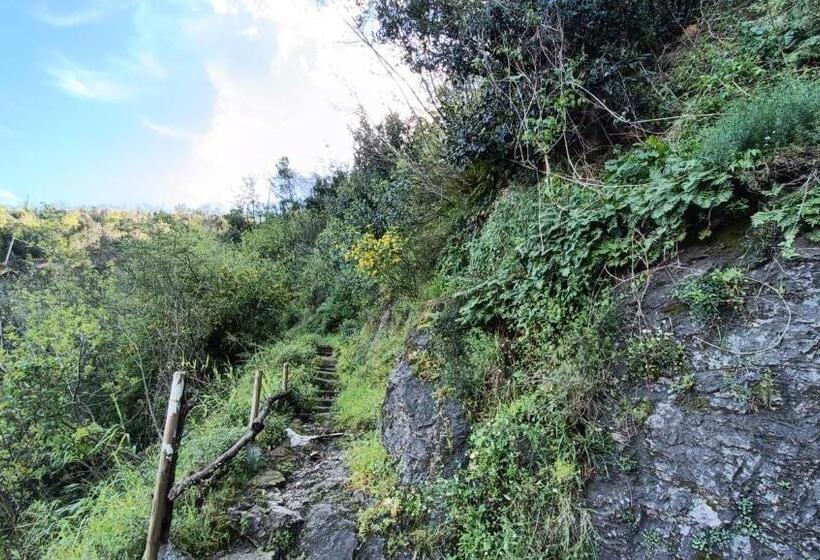 פנסיון Maya Guest House