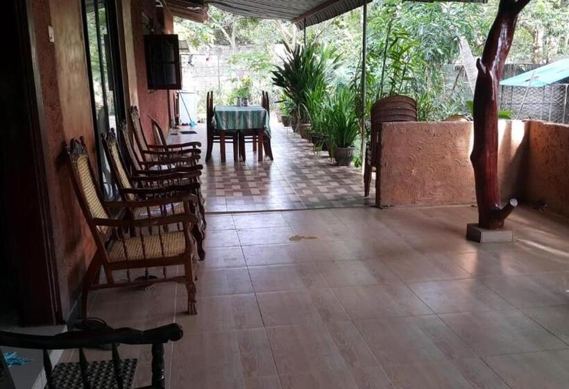 住宿加早餐 Nildiya Guest House