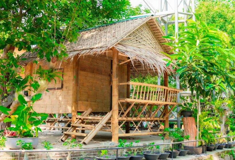 渡假胜地  Camp Chamao