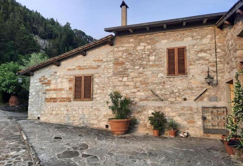 호텔 Agriturismo Fattoio Alle Ripe