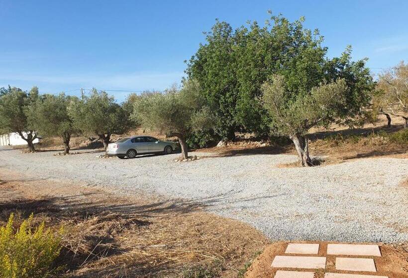 هتل Monte Das Açoteias   Agroturismo