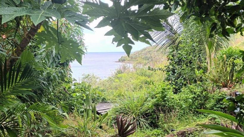 بنسيون L Atelier Gîtes Des Koalas