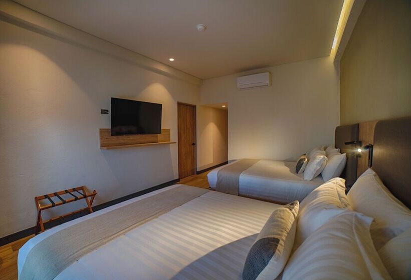 هتل Casa Aranzazu San Luis Potosi