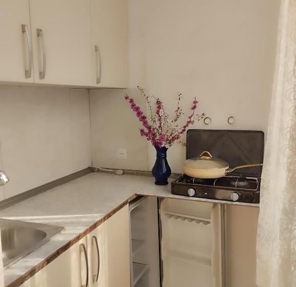 پانسیون Apartment Adelina