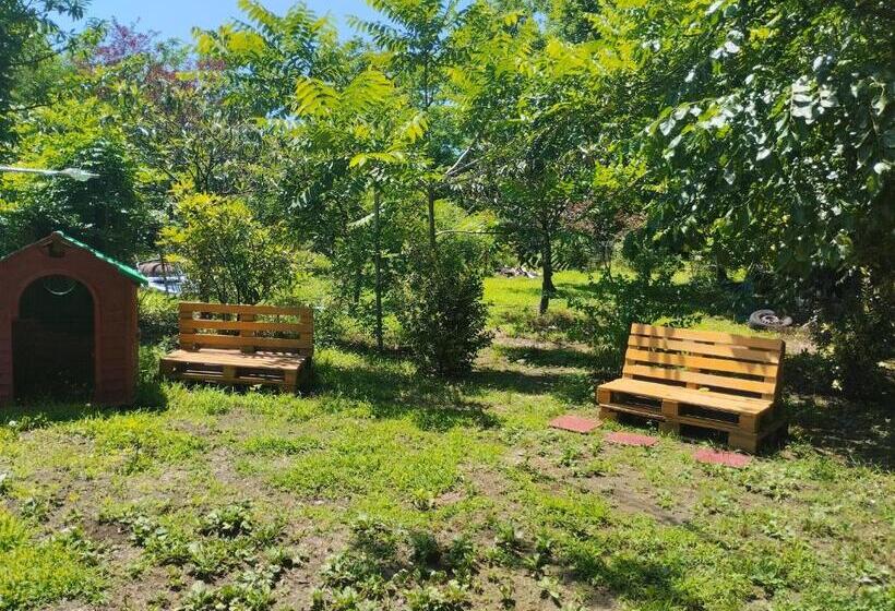 پانسیون Apartment Adelina