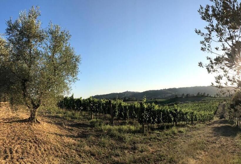 تختخواب و صبحانه Agriturismo Poggio Del Drago