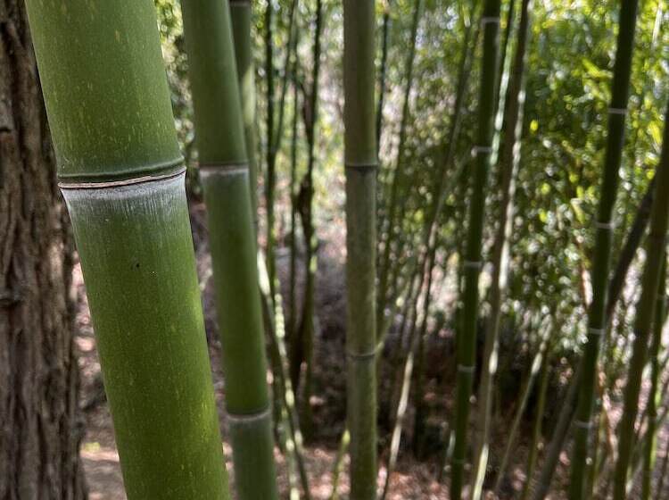 تختخواب و صبحانه Agriturismo Rio Verde
