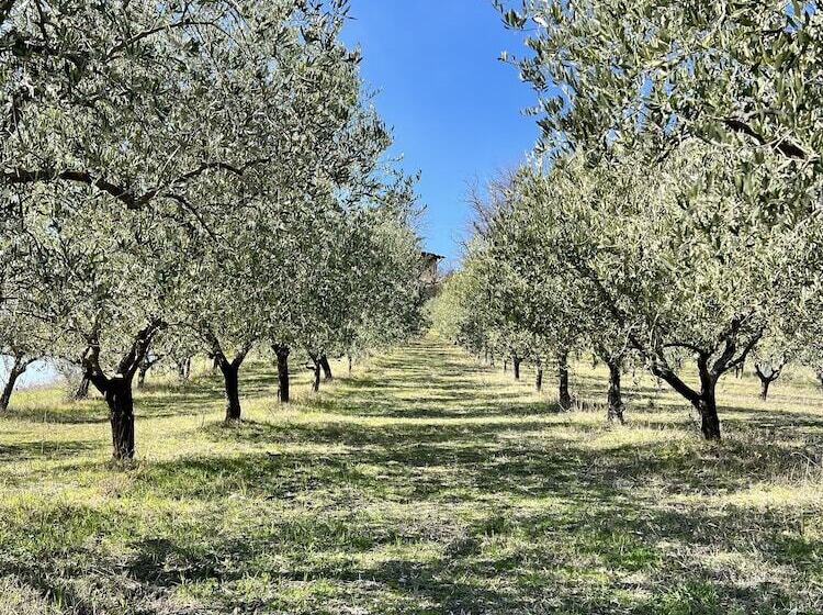 تختخواب و صبحانه Agriturismo Rio Verde