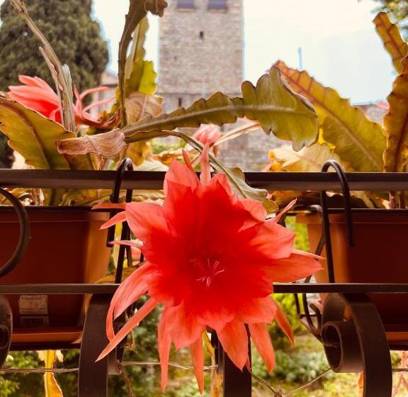 تختخواب و صبحانه The Tower Of The Old King